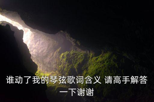 谁动了我的琴弦歌词含义 请高手解答一下谢谢