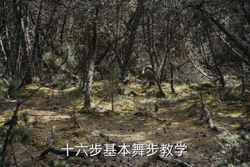 十六步基本舞步教学