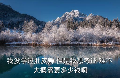 我没学过肚皮舞 但是我想考证 难不 大概需要多少钱啊