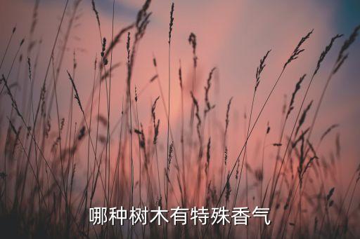 又香又甜的树有哪些，中国有哪些带有香味树木