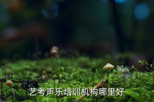 艺考声乐培训机构哪里好