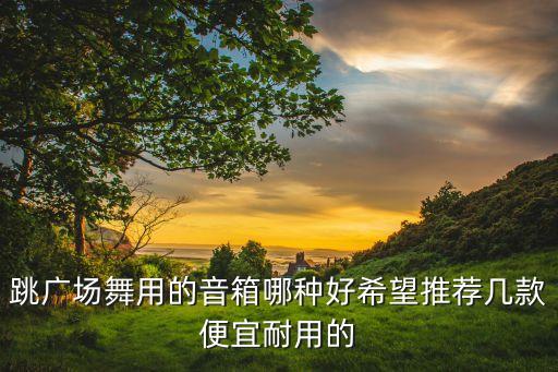 跳广场舞用的音箱哪种好希望推荐几款便宜耐用的