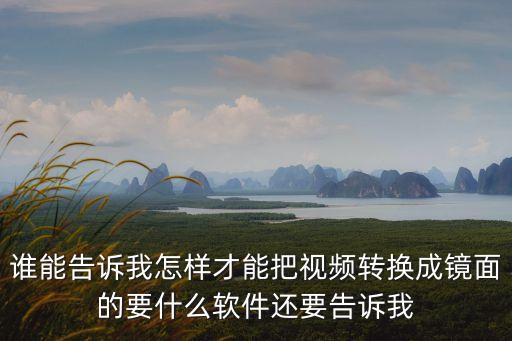 谁能告诉我怎样才能把视频转换成镜面的要什么软件还要告诉我