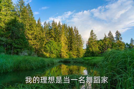 小小舞蹈家的作文怎么写，我的理想是当一名舞蹈家