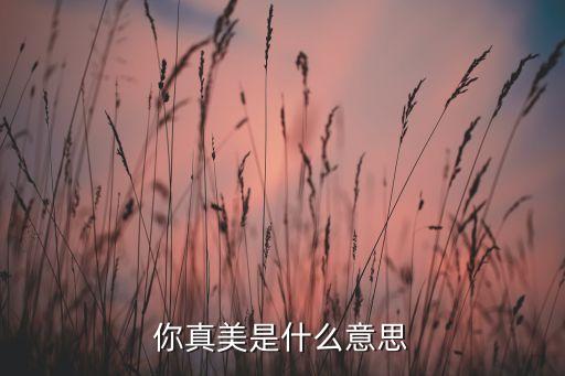 你真美是什么意思