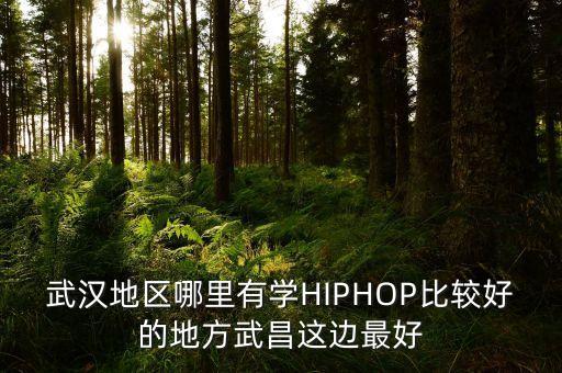武汉地区哪里有学HIPHOP比较好的地方武昌这边最好