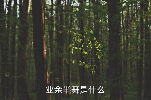业余半舞是什么