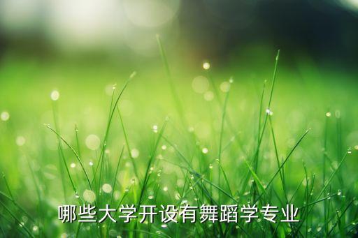 哪些大学开设有舞蹈学专业