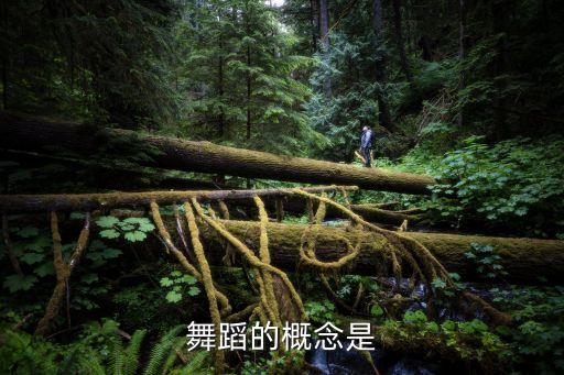 舞蹈的概念是