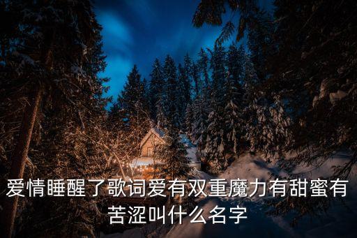 爱情睡醒了歌词爱有双重魔力有甜蜜有苦涩叫什么名字