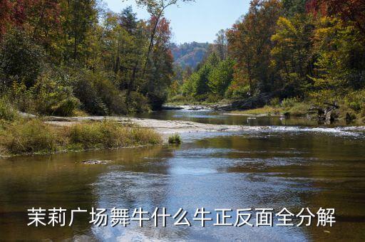动动广场舞牛什么牛背面分解，糖豆广场舞萱萱牛什么牛