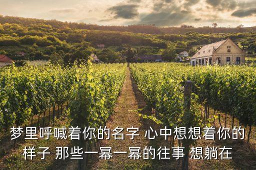 梦里呼喊着你的名字 心中想想着你的样子 那些一幂一幂的往事 想躺在
