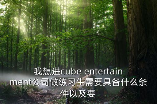 我想进cube entertainment公司做练习生需要具备什么条件以及要