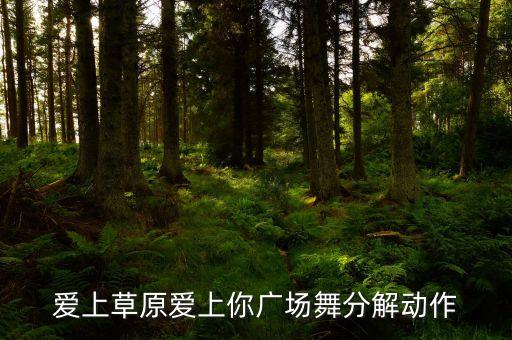 爱上草原爱上你广场舞分解动作