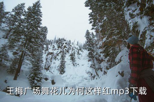 王梅广场舞花儿为何这样红mp3下载
