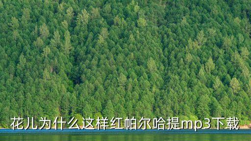 馨梅广场舞花儿为什么这样红mp3，王梅广场舞花儿为何这样红mp3下载