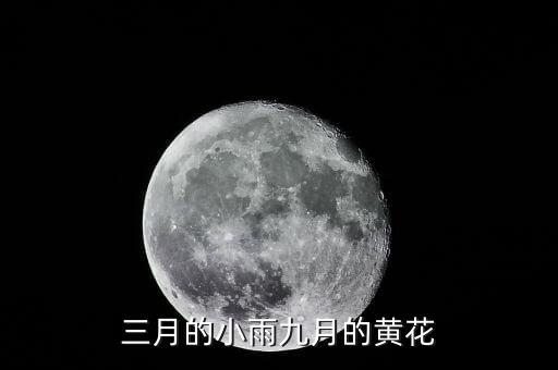 三月的小雨九月的黄花