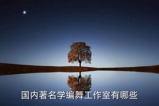 国内著名学编舞工作室有哪些