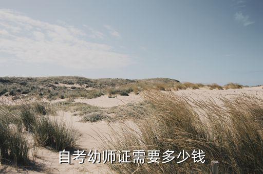 自考幼师证需要多少钱，自考幼师证需要多少钱