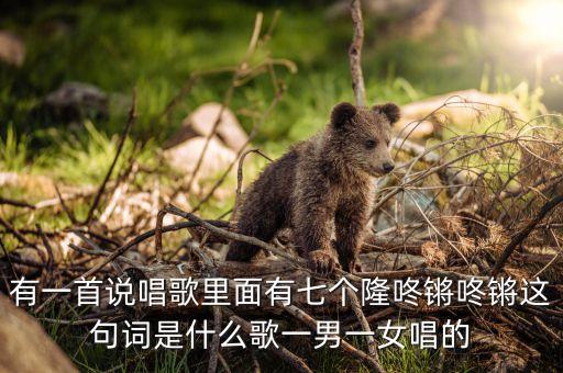 有一首说唱歌里面有七个隆咚锵咚锵这句词是什么歌一男一女唱的