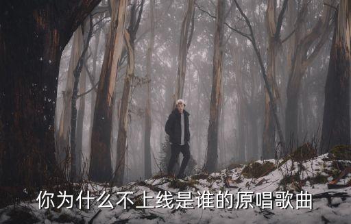 你为什么不上线是谁的原唱歌曲