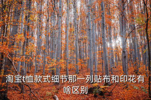淘宝t恤款式细节那一列贴布和印花有啥区别