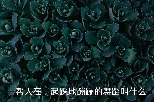 阳城广场跳的什么舞，一帮人在一起踩地蹦蹦的舞蹈叫什么