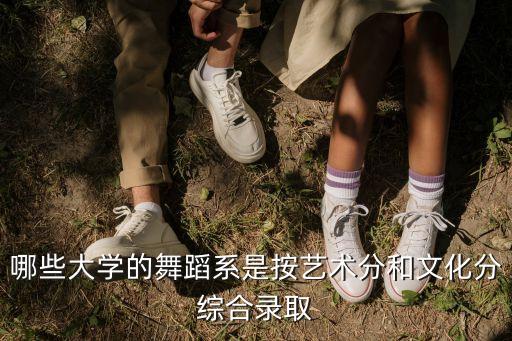 哪些大学的舞蹈系是按艺术分和文化分综合录取