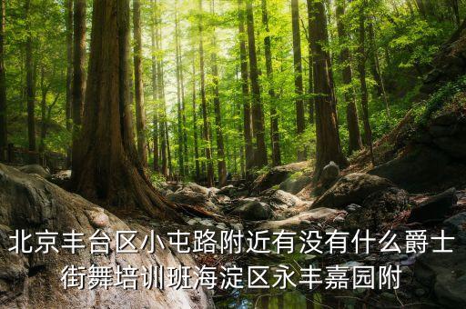 北京丰台区小屯路附近有没有什么爵士街舞培训班海淀区永丰嘉园附
