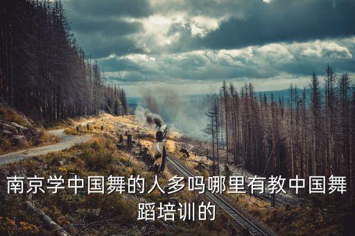 南京学中国舞的人多吗哪里有教中国舞蹈培训的