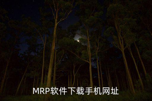 MRP软件下载手机网址