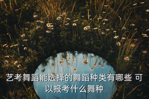 贵州艺考舞蹈考哪些舞种，请问高考时的艺术类舞蹈考试都考些什么