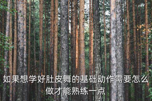如果想学好肚皮舞的基础动作需要怎么做才能熟练一点