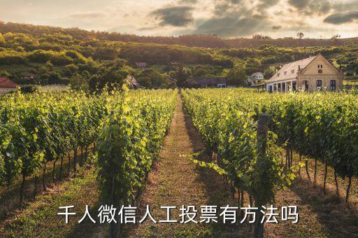 人工刷投票10元1000票，千人微信人工投票有方法吗