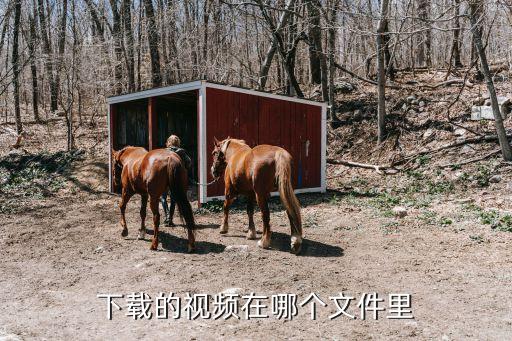 九九广场舞下载的视频在哪个文件夹里面，广场舞歌曲下载在哪个文件夹