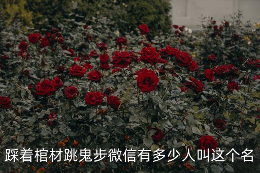 踩着棺材跳鬼步微信有多少人叫这个名