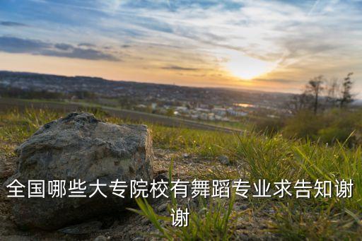 重点艺术舞蹈学校有哪些，全国哪些大专院校有舞蹈专业求告知谢谢