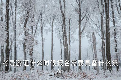 考导游证什么时候报名需要具备什么条件