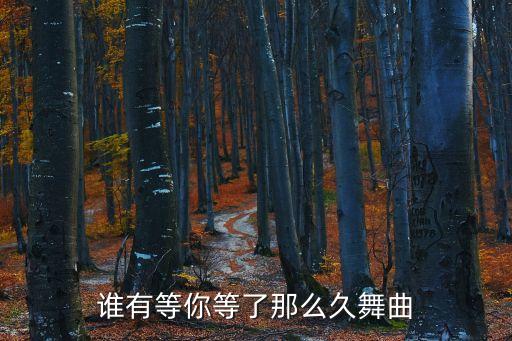 谁有等你等了那么久舞曲