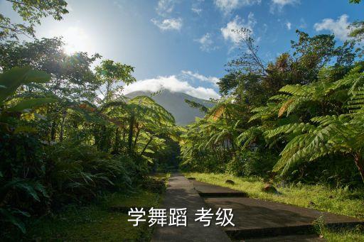 学舞蹈 考级