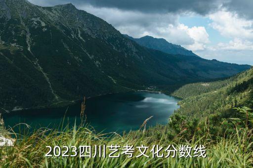 2023四川艺考文化分数线