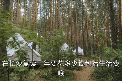 在长沙复读一年要花多少钱包括生活费哦