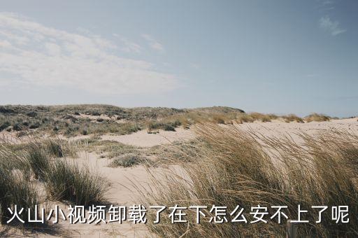 火山小视频卸载了在下怎么安不上了呢