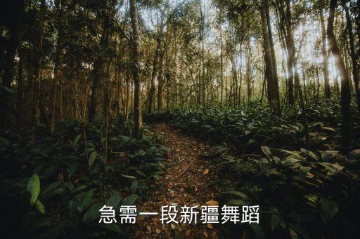 急需一段新疆舞蹈