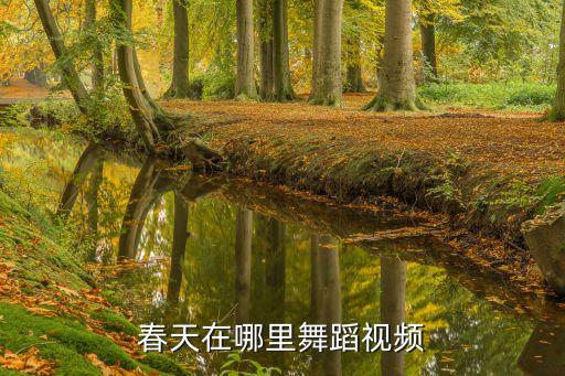 春天在哪里舞蹈视频