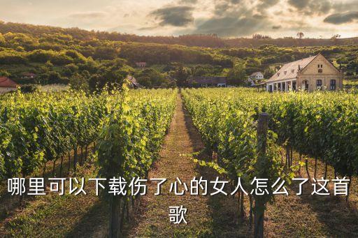 女人怎么了广场下载，哪里可以下载伤了心的女人怎么了这首歌