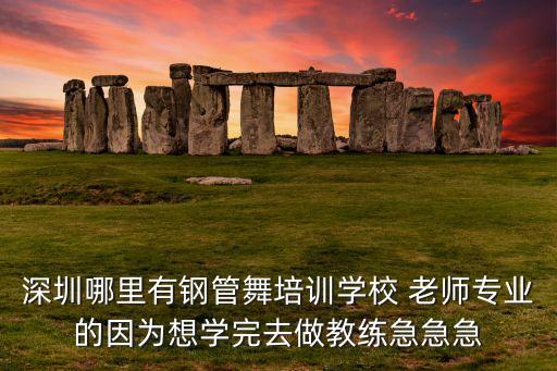 深圳哪里有钢管舞培训学校 老师专业的因为想学完去做教练急急急