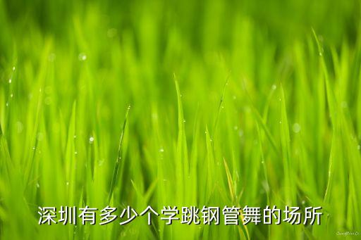 深圳有多少个学跳钢管舞的场所