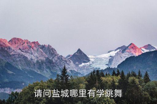 盐城有哪些舞蹈培训中心，请问盐城哪里有学跳舞