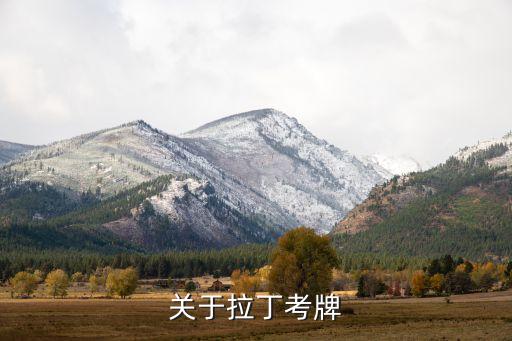 少儿拉丁铜牌考什么，关于拉丁考牌